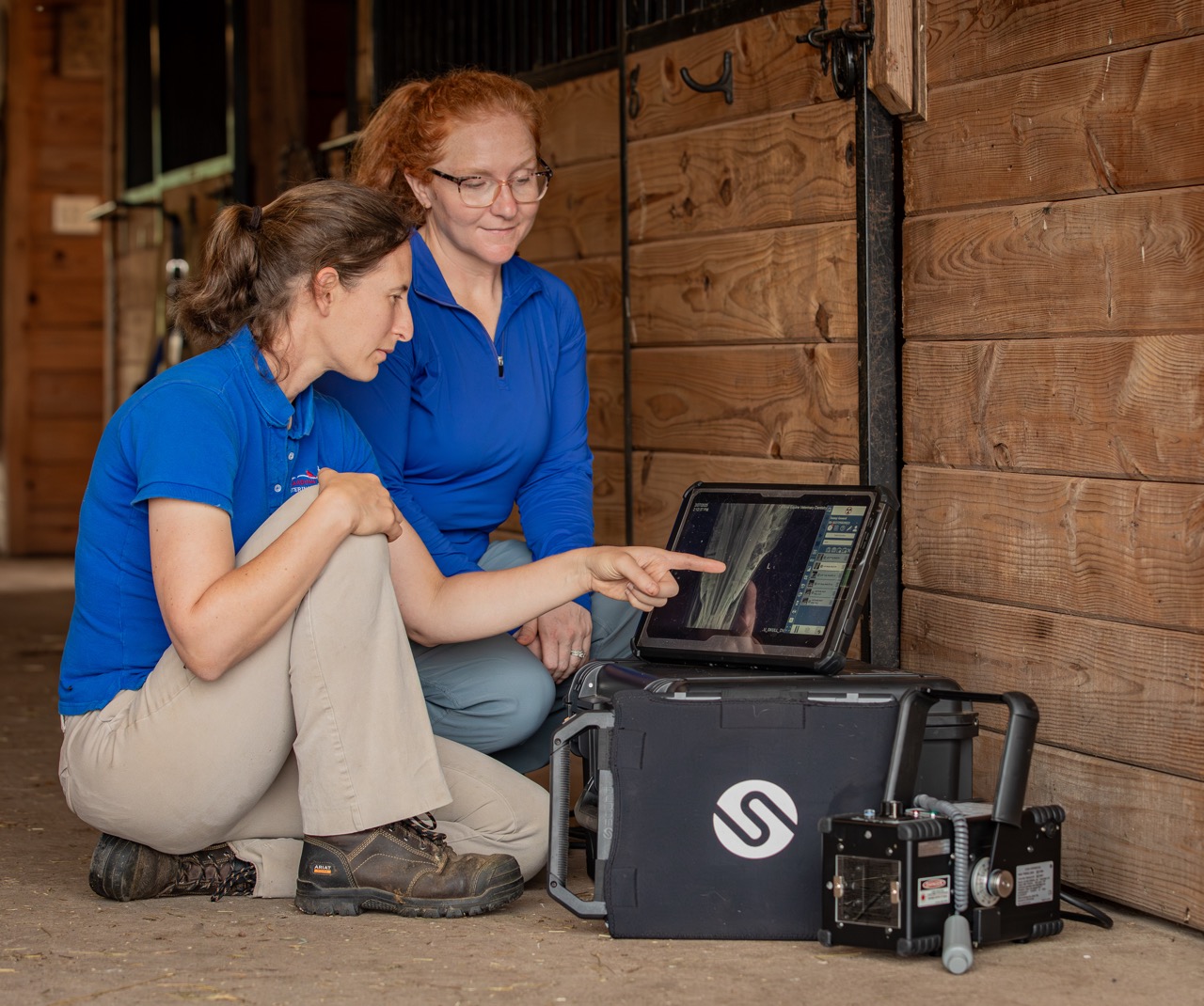 Equine dental procedure